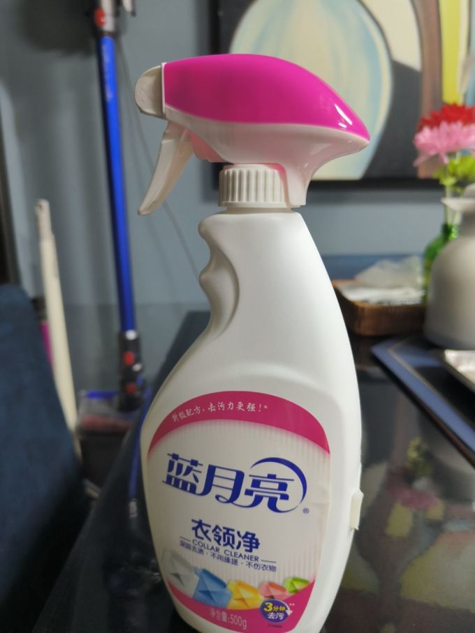 蓝月亮网址，探索神秘魅力-第3张图片