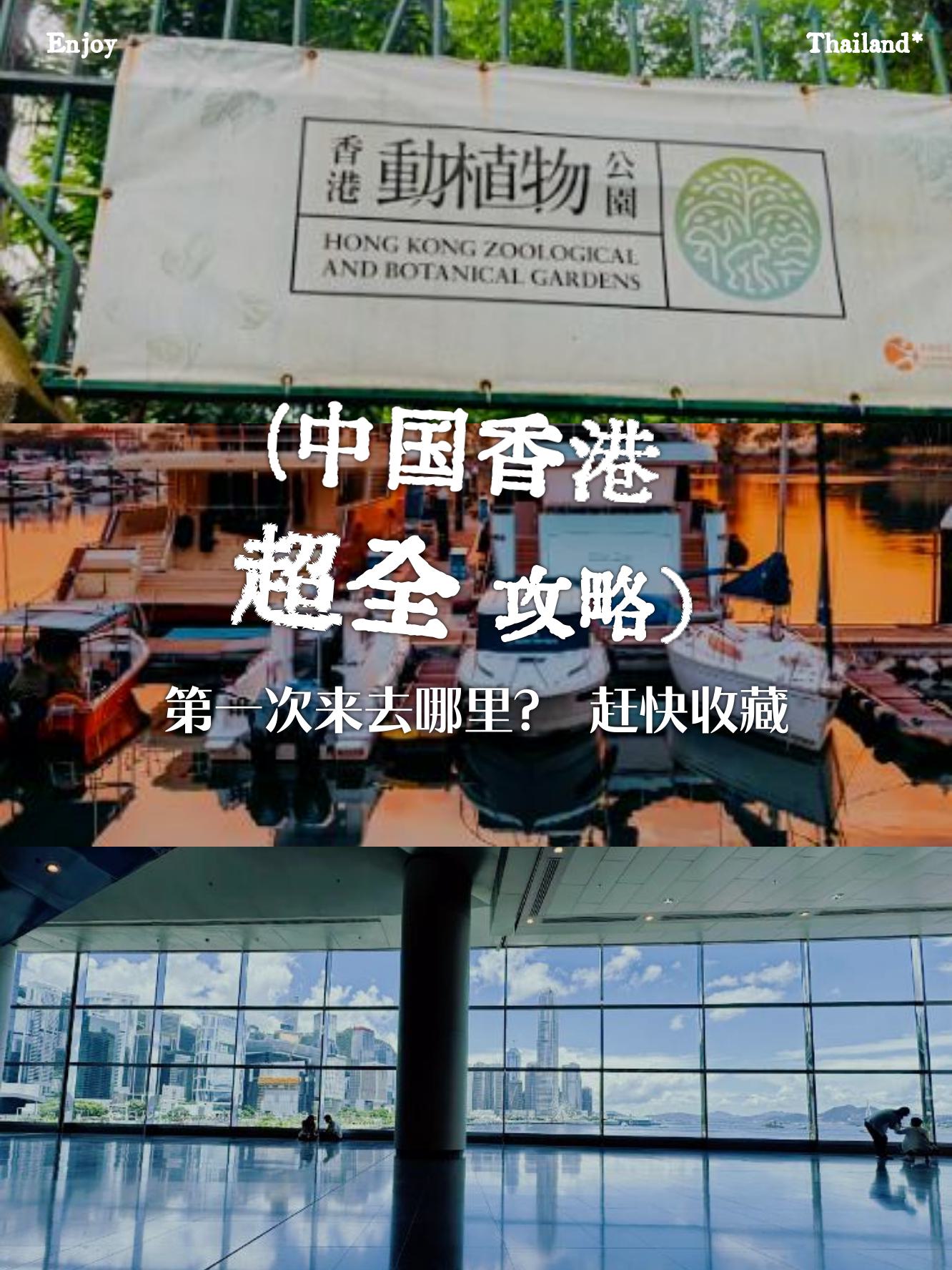 2024香港历史开奖记录65期，回顾与展望