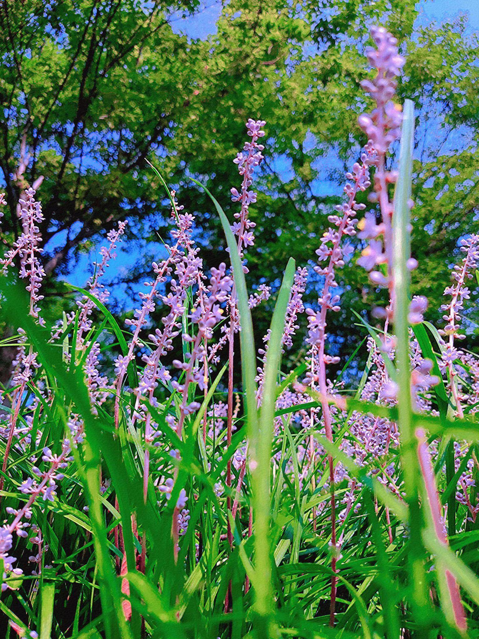 徐州一日游景点自驾游徐州一日游自驾游攻略