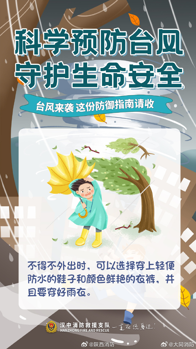 上海 台风上海遭遇台风，风雨中的城市之旅