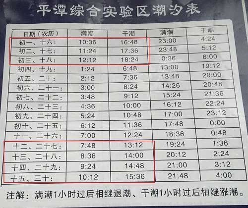 2020年涨潮退潮时间表
