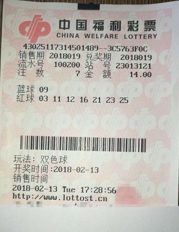 东方彩票网，探索彩票新世界