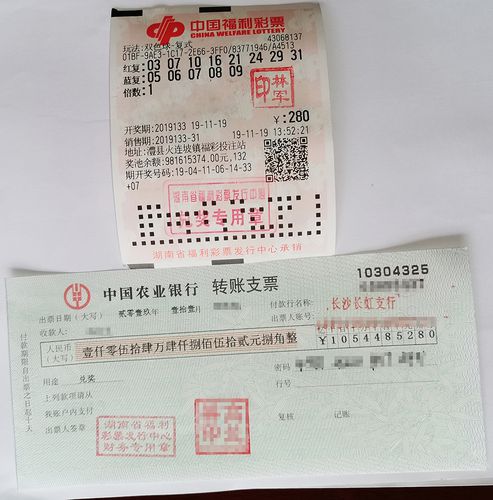 彩票至尊网，探索彩票新世界