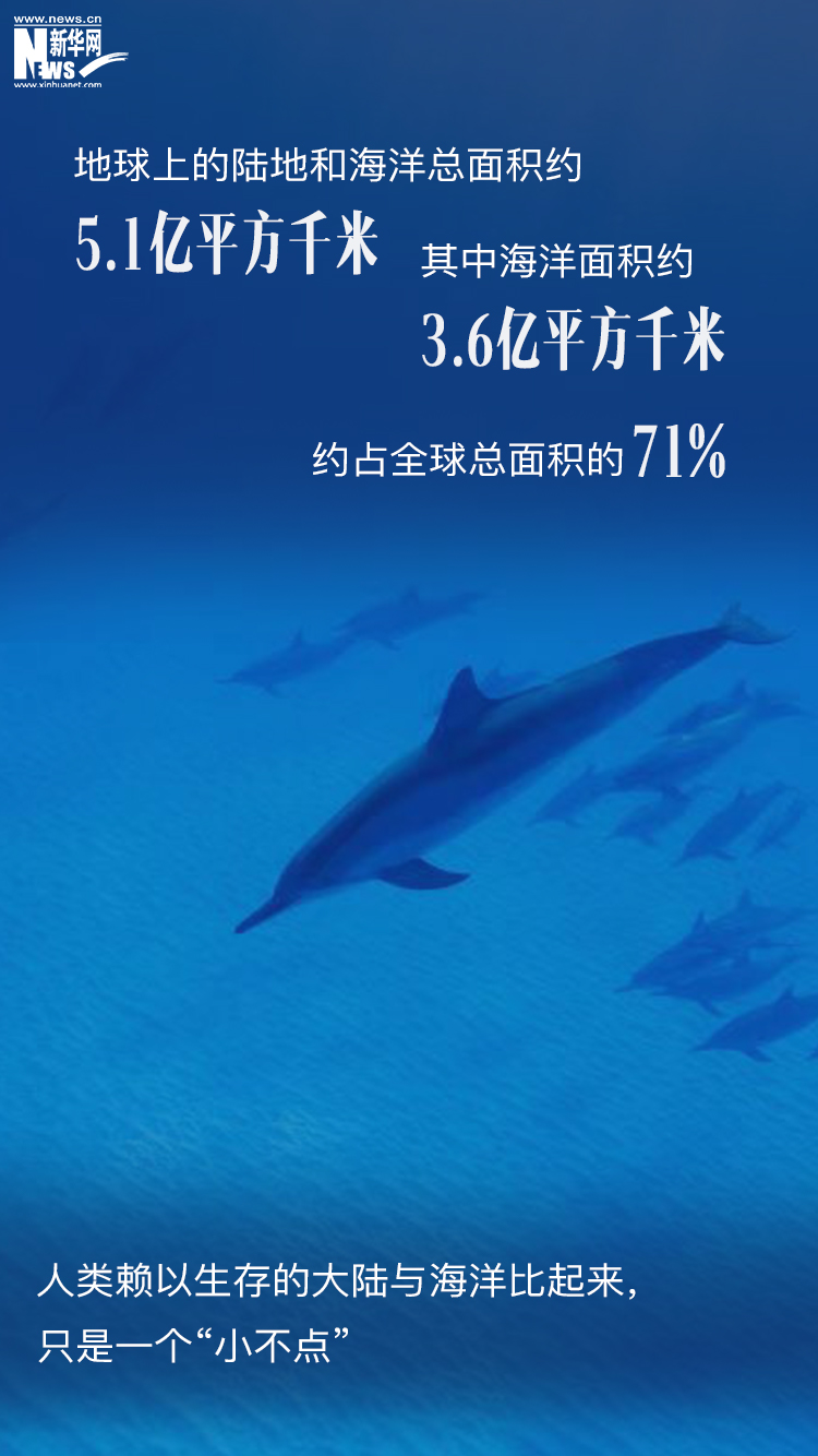 1378游戏中心捕鱼官方1378捕鱼下载，探索神秘海洋游戏世界
