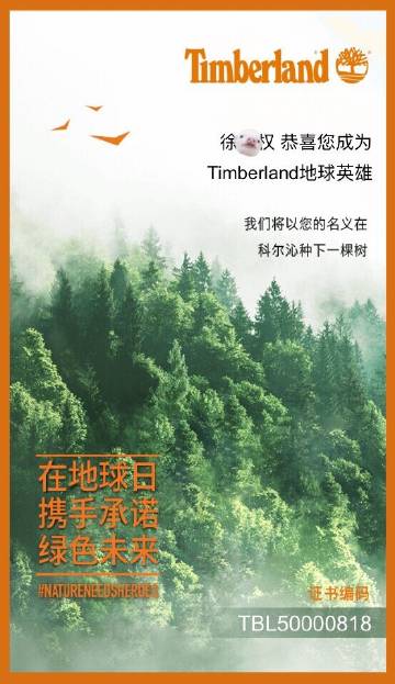 七位数开奖，神秘与惊喜的交织