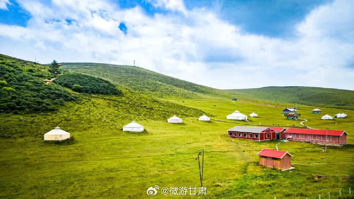 甘肃十一选五开奖结果揭晓-第1张图片