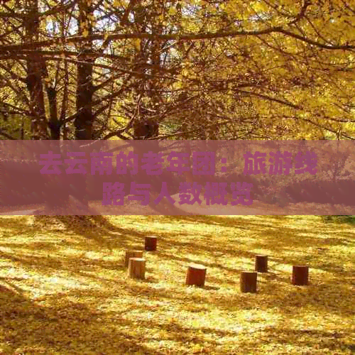 请问参加老年旅游团去哪报名老年旅游团报名攻略-第2张图片