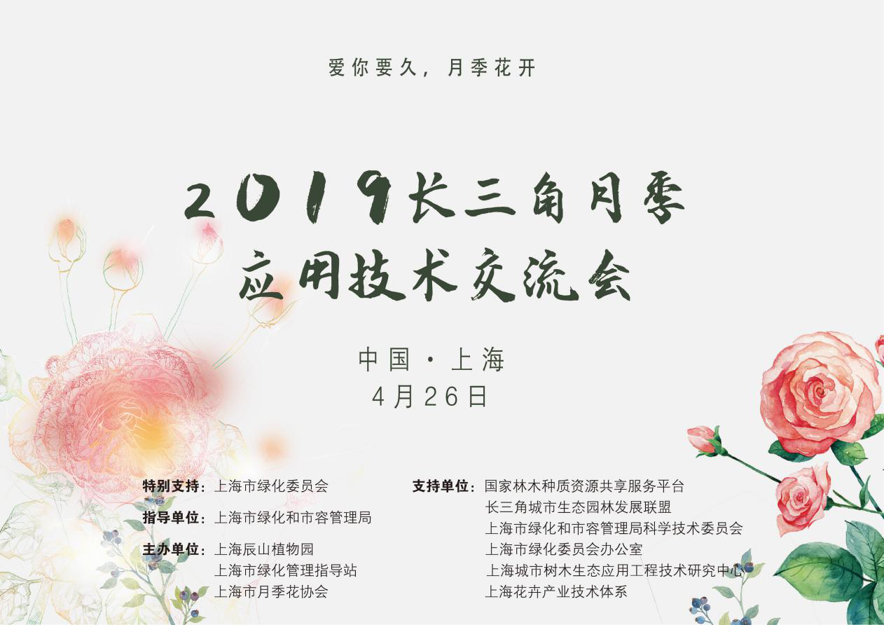 2019今日特马结果2019今日特马结果回顾