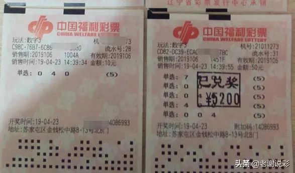 乐透乐论坛3d字谜论坛首页乐透乐论坛，探索数字彩票的乐趣与交流-第1张图片