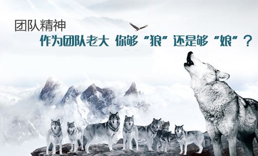 广西狼精英论坛，探索狼性精神的卓越平台-第1张图片