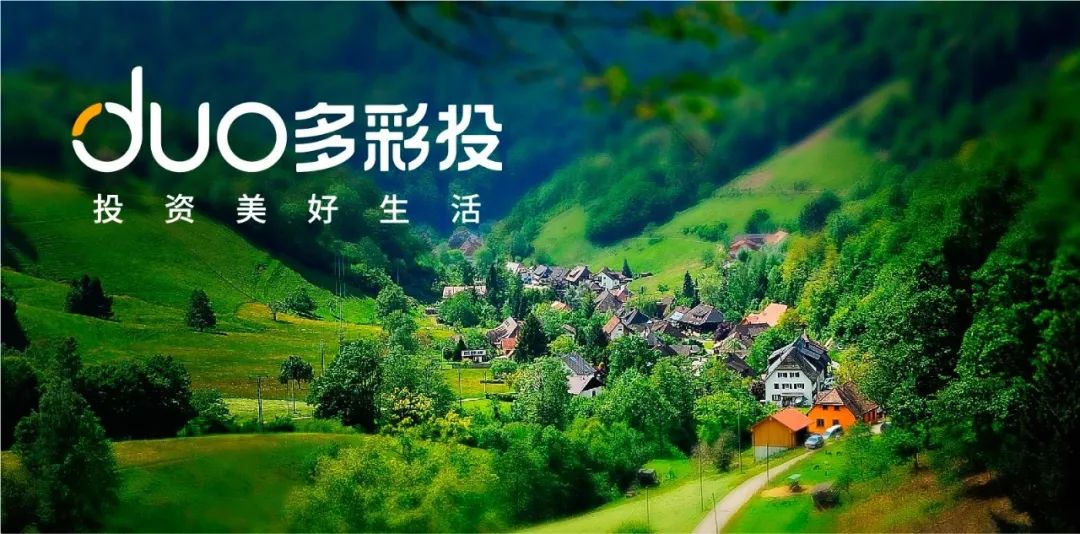 多彩投官网多彩投，投资新篇章