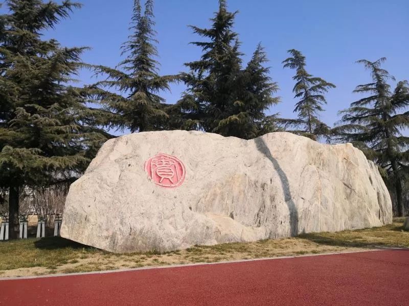 800团1000是什么意思团800郑州，城市发展新动力-第2张图片
