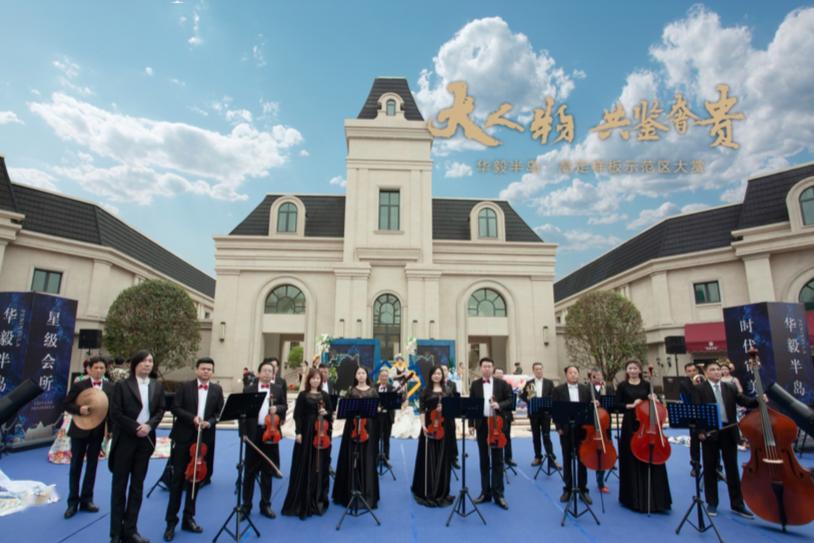 半岛影音，视听盛宴的魅力