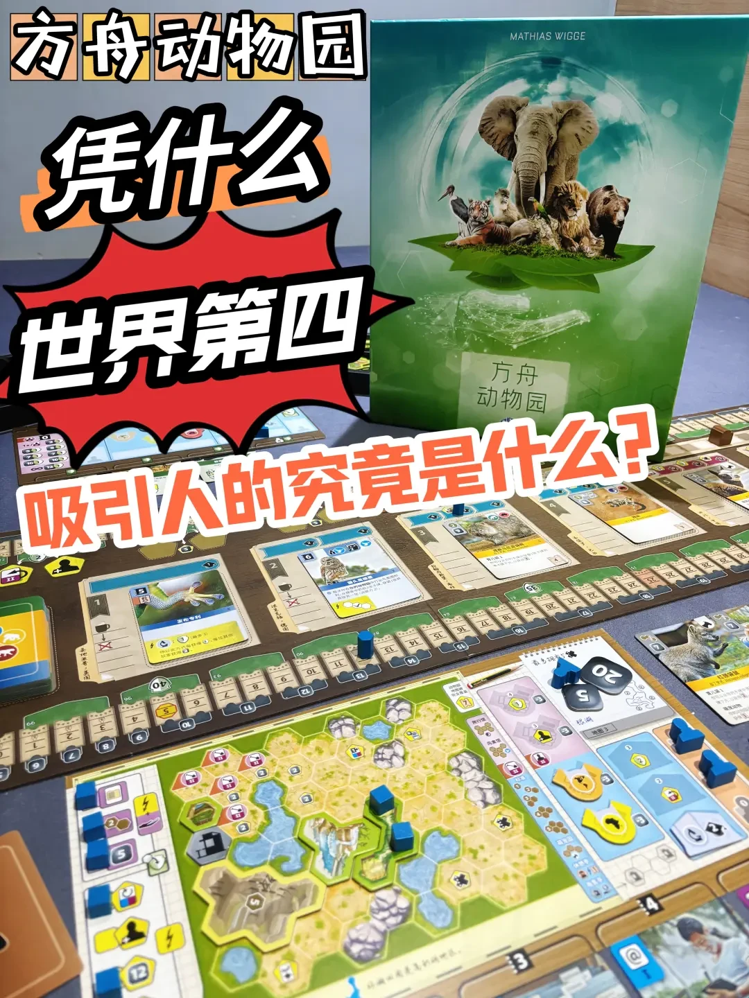 单机卡牌单机卡牌游戏，探索游戏世界的魅力-第2张图片