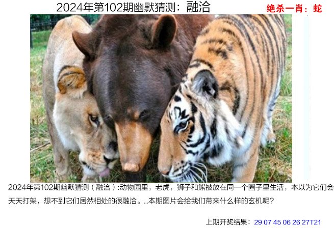澳门开奖结果开奖记录表新澳门开奖记录查询今天