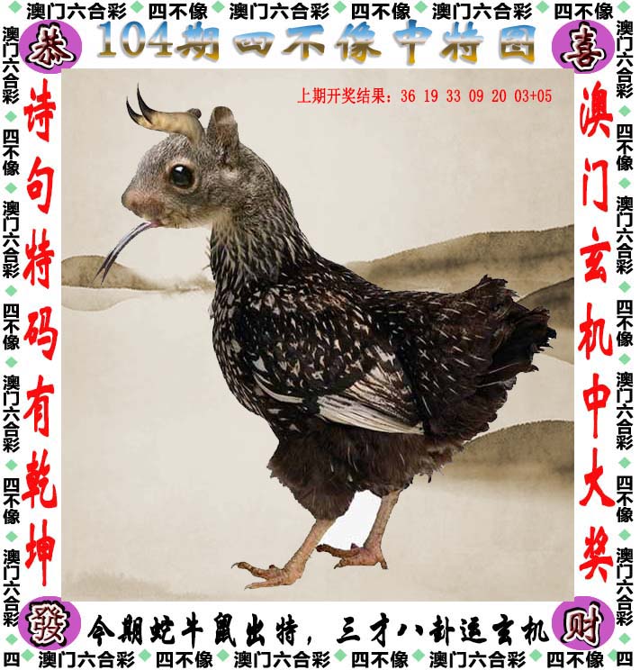 2023澳门免费精准资料下载，探索无限可能-第3张图片
