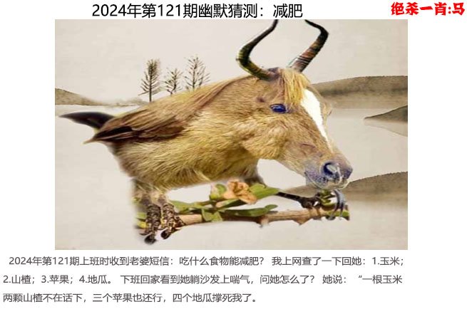 2024香港历史开奖记录查询结果-第3张图片