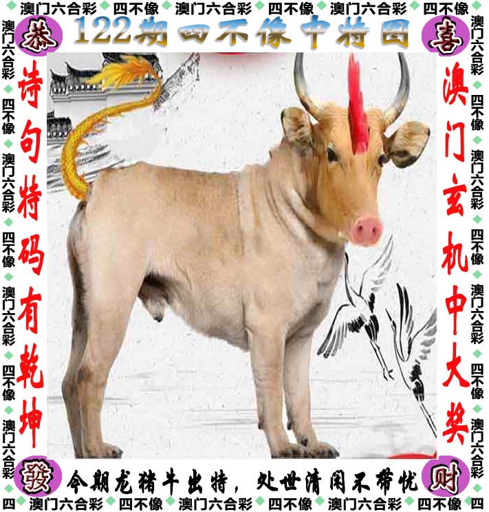 彩库宝典香港版2024彩库宝典香港版2021，探索数字时代的宝藏-第2张图片