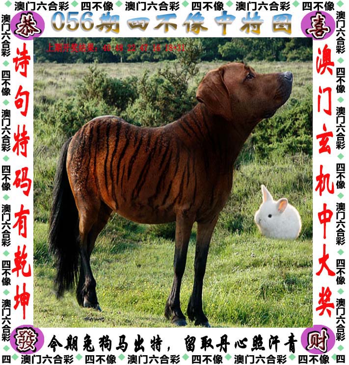 2023一码一肖100%准确2023一码一肖，预测与准确性的保证