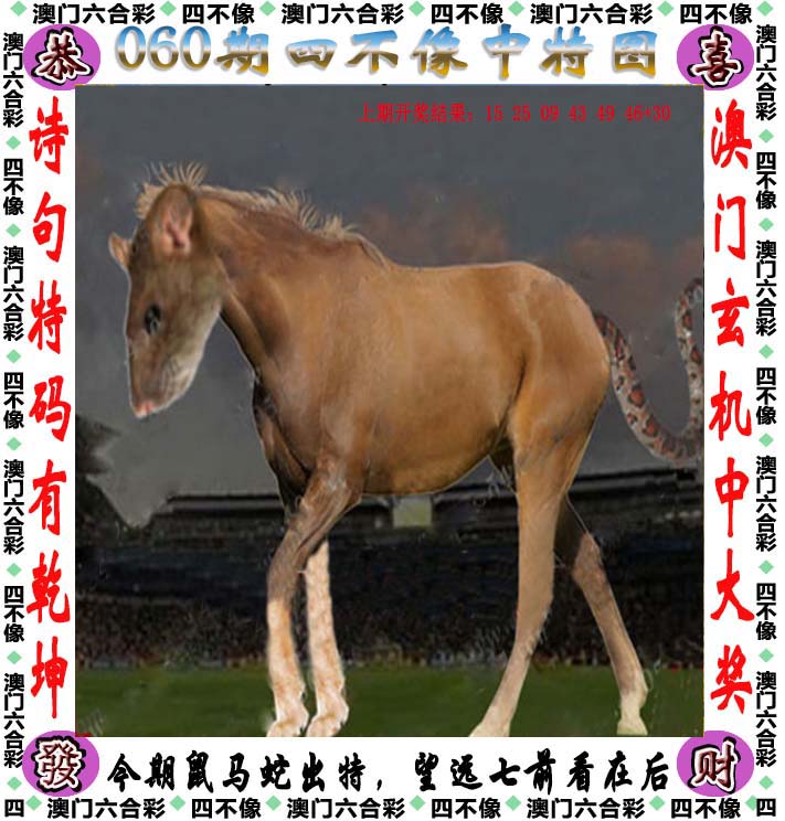 新澳门正版资料免费更新，解锁知识新纪元