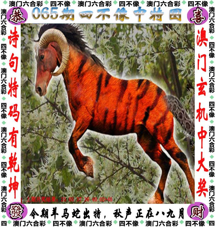 2024澳门天天开好彩大全，揭秘凤凰天机-第3张图片