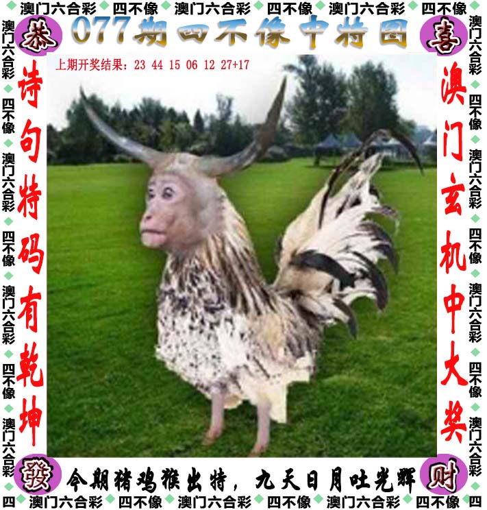 二四六天天好彩，文字资料大全-第1张图片
