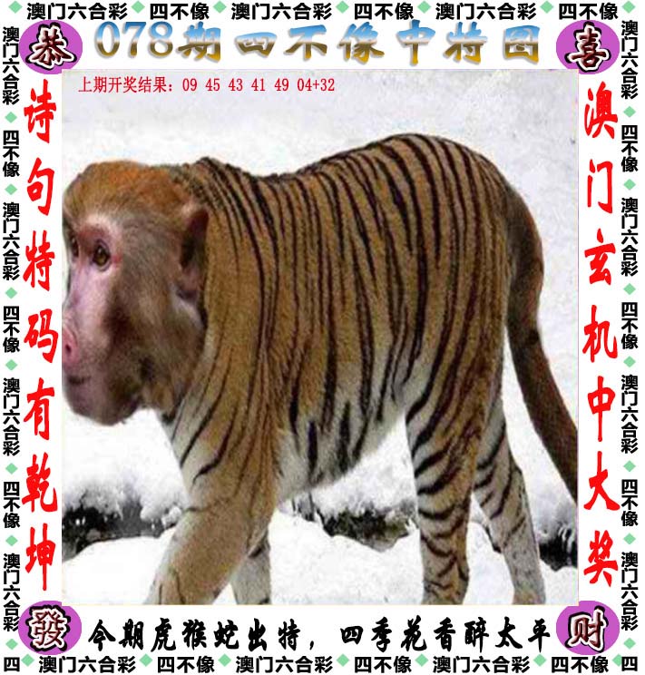 2023澳门今晚开什么澳门第3115期2023澳门今晚开什么活动揭晓