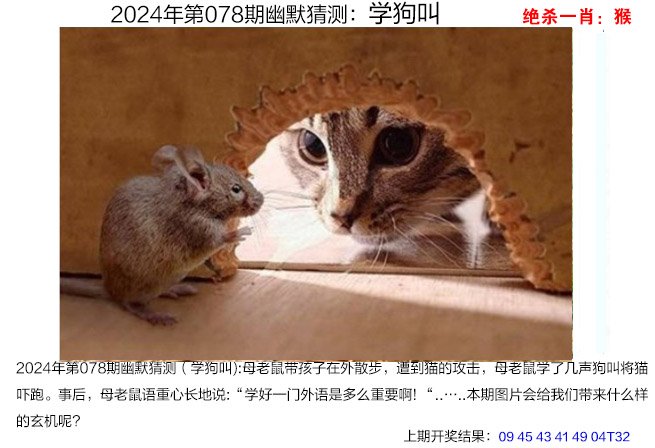 澳门马会免费资料大全澳门马会免费资料大全