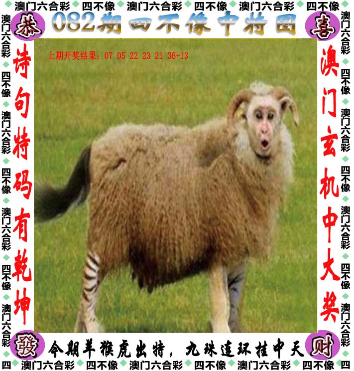澳门管家婆一码一肖中特澳门管家婆一码一肖，中特之视角
