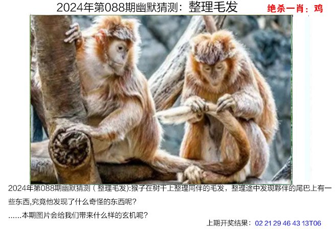 今晚特马盛宴开启-第2张图片