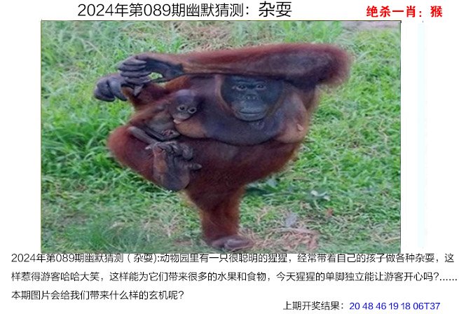 今晚澳门必中一肖一码澳门