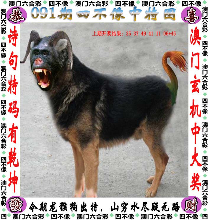 管家婆正版今晚开奖结果揭晓-第3张图片