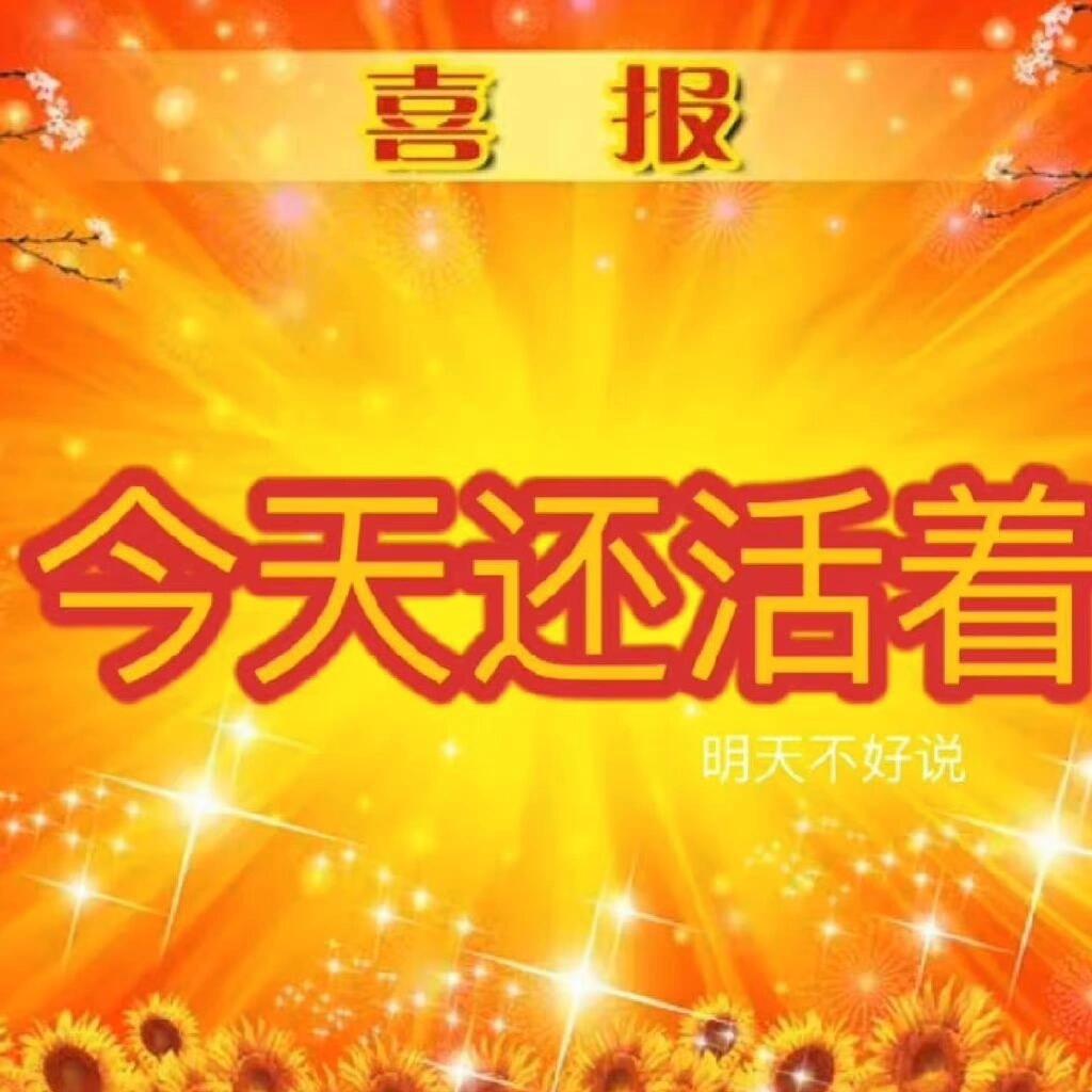 小喜通天报图片及价格小喜通天报-第2张图片