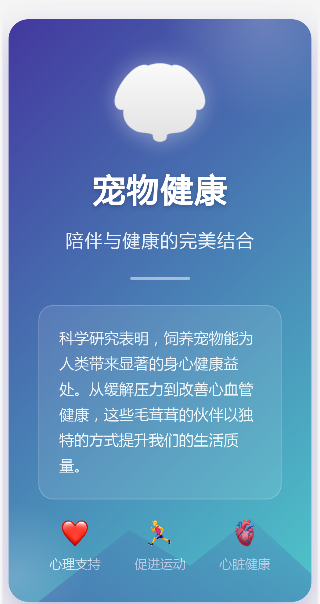跑狗网，引领宠物健康与训练的新潮流-第1张图片