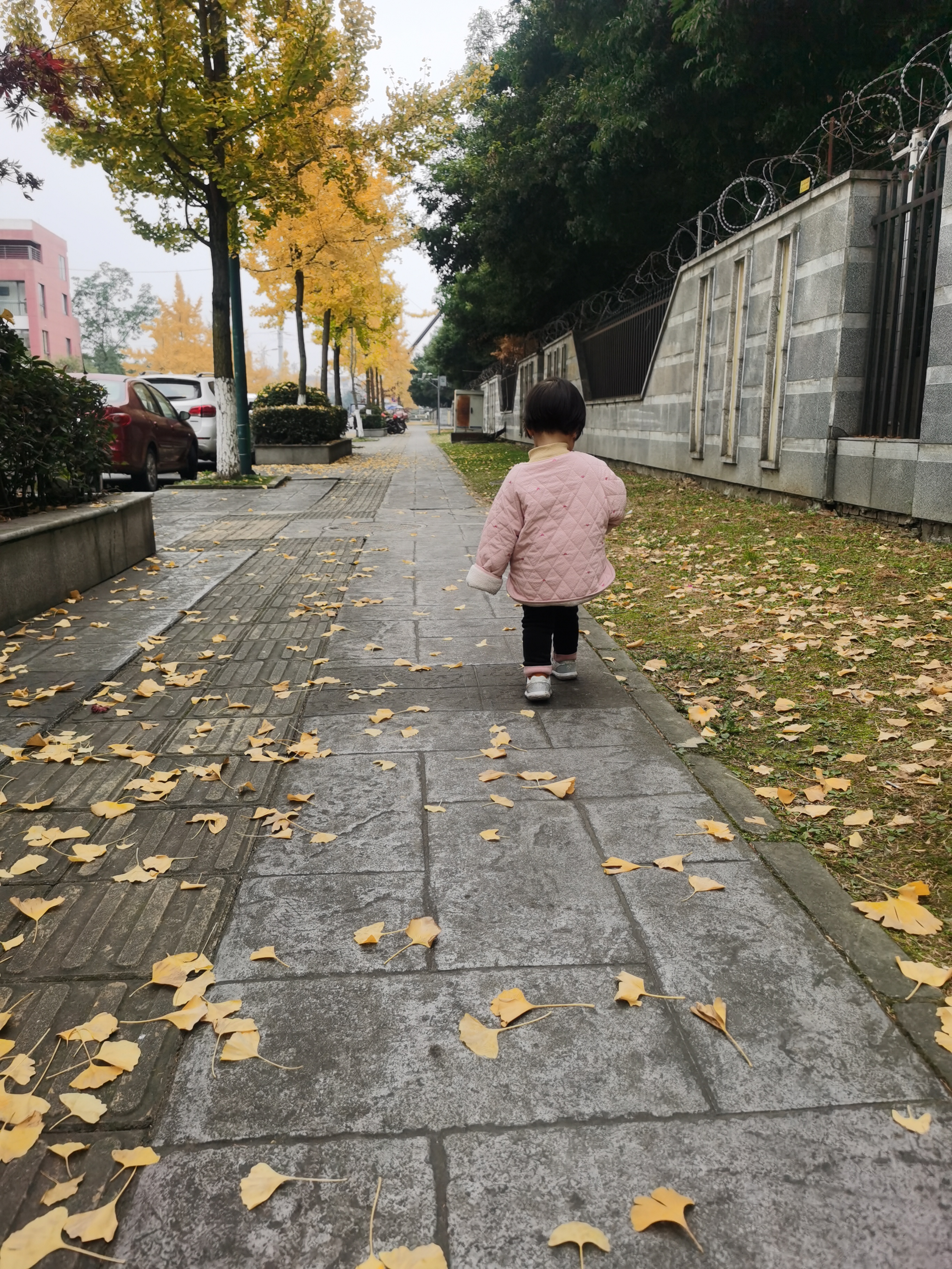 小幼女的世界