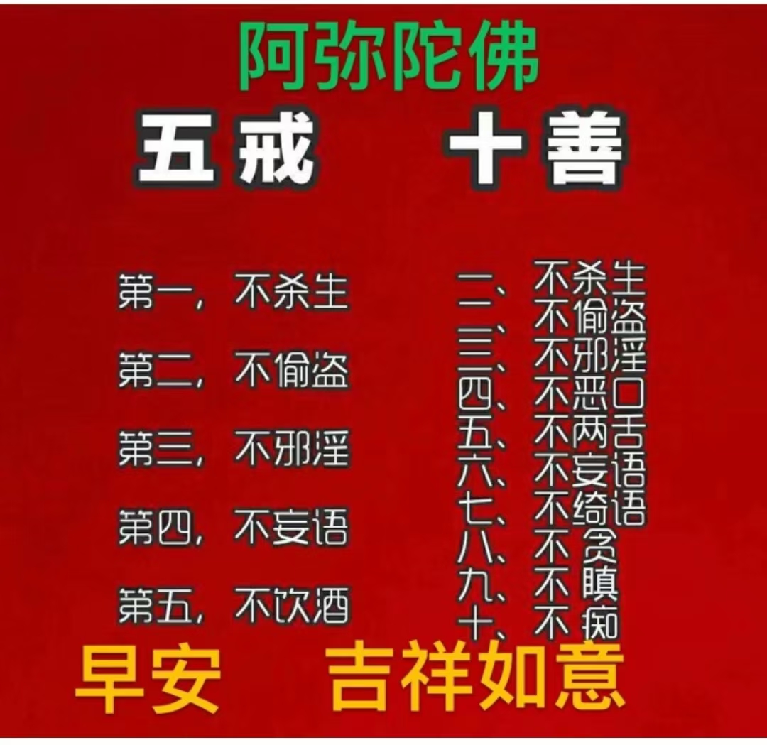 老衲法号老衲法号，修行之路-第2张图片