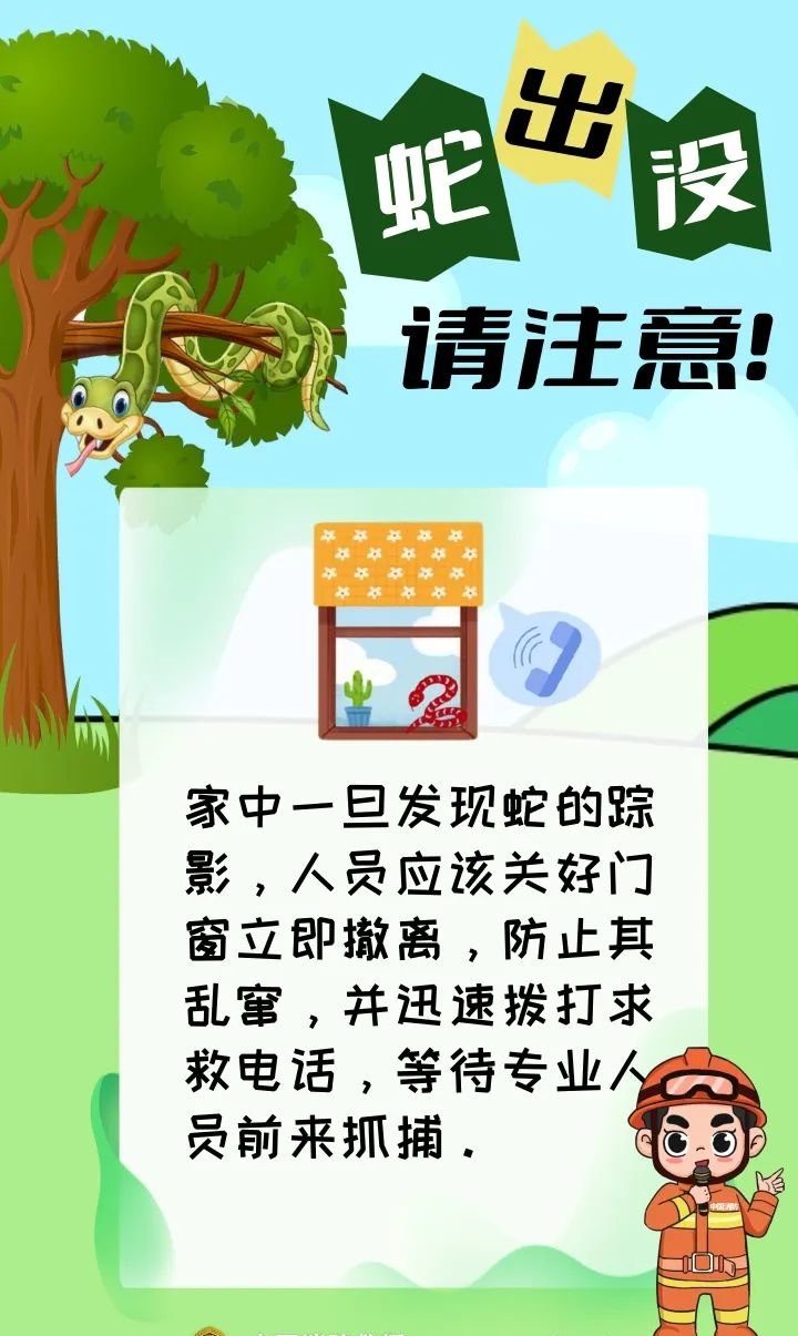横拦竖挡横拦竖挡，生活中的防御策略
