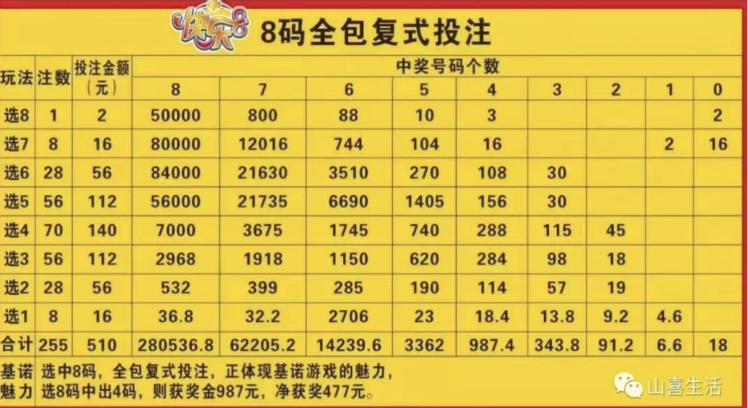 澳门必中一肖一码，成功之路的探索