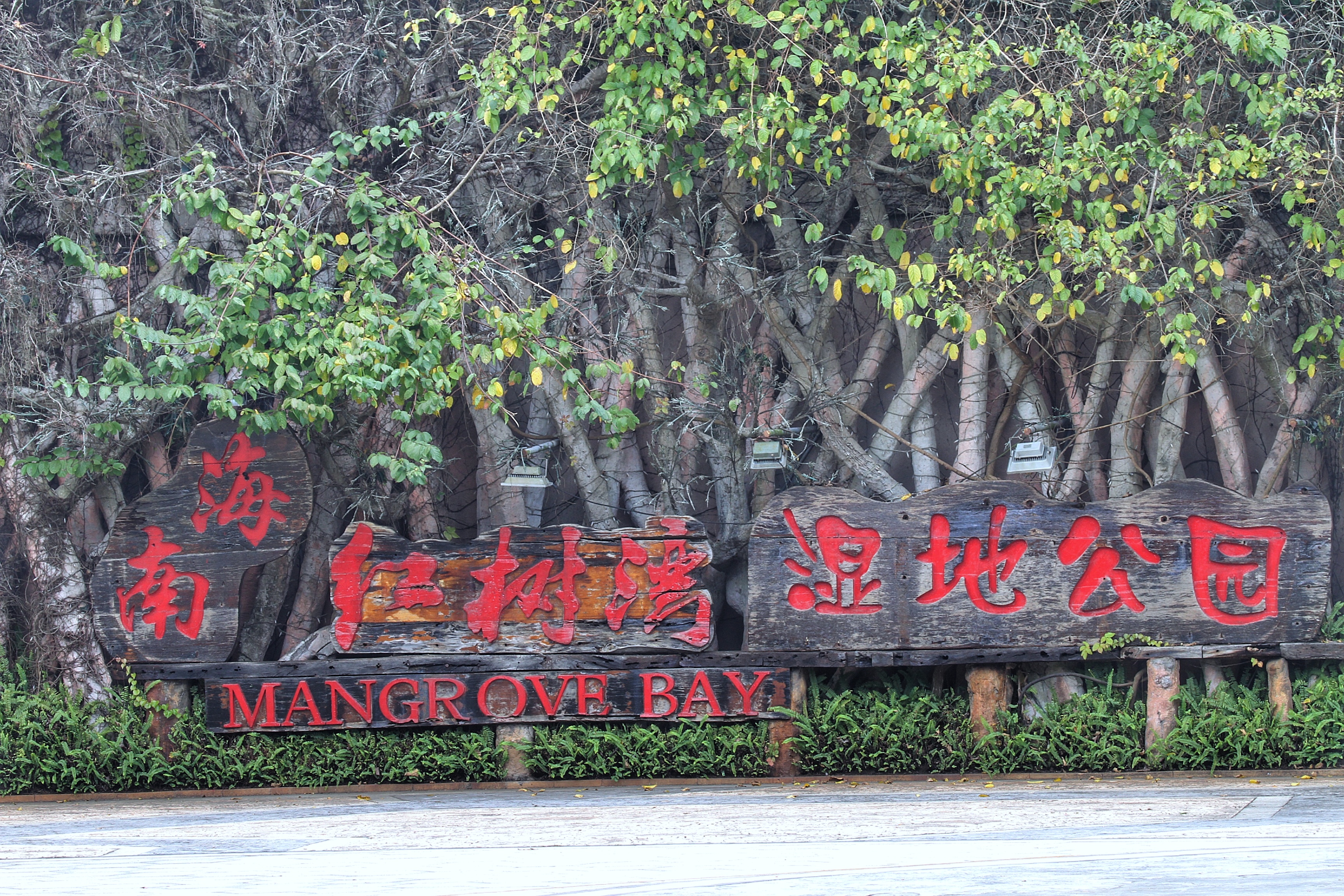 澄迈红树湾澄迈红树湾，自然与人文的完美融合-第2张图片
