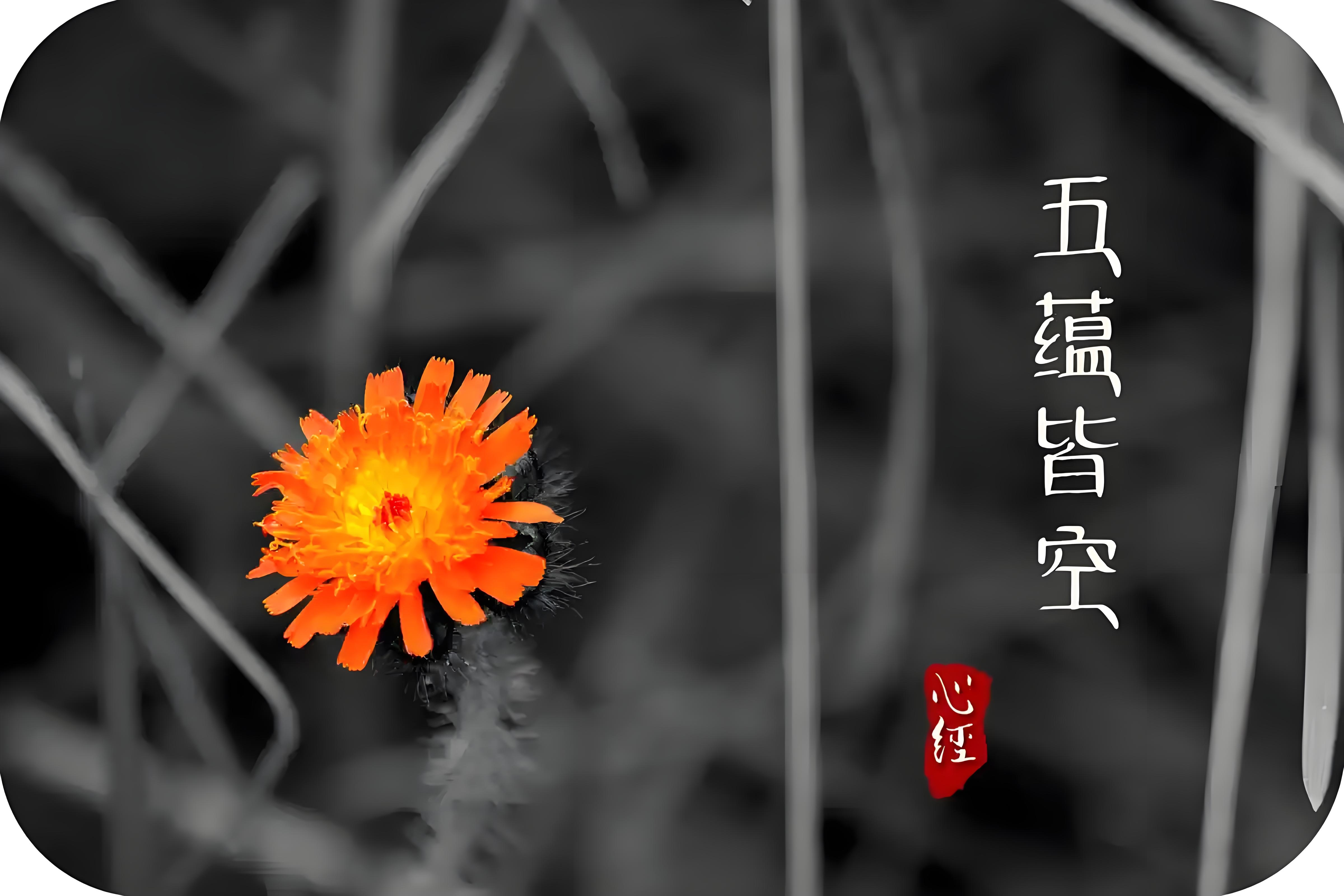 东方心经a东方心经b东方心经A，探寻内心的智慧与力量-第1张图片