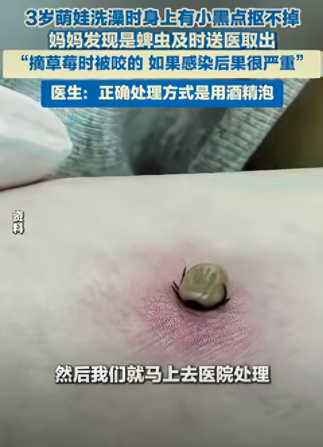 四川快乐十二开奖结果一定牛四川快乐十二开奖结果揭晓-第2张图片