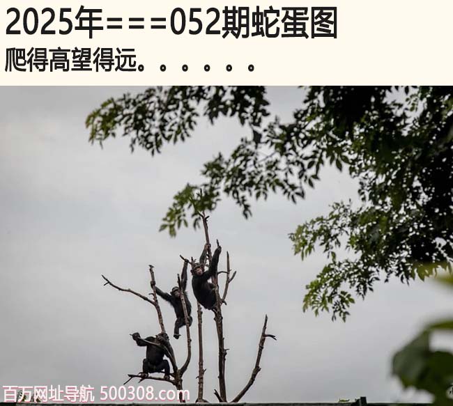 港彩二四六天天彩资料二四六天天好彩资料全免费