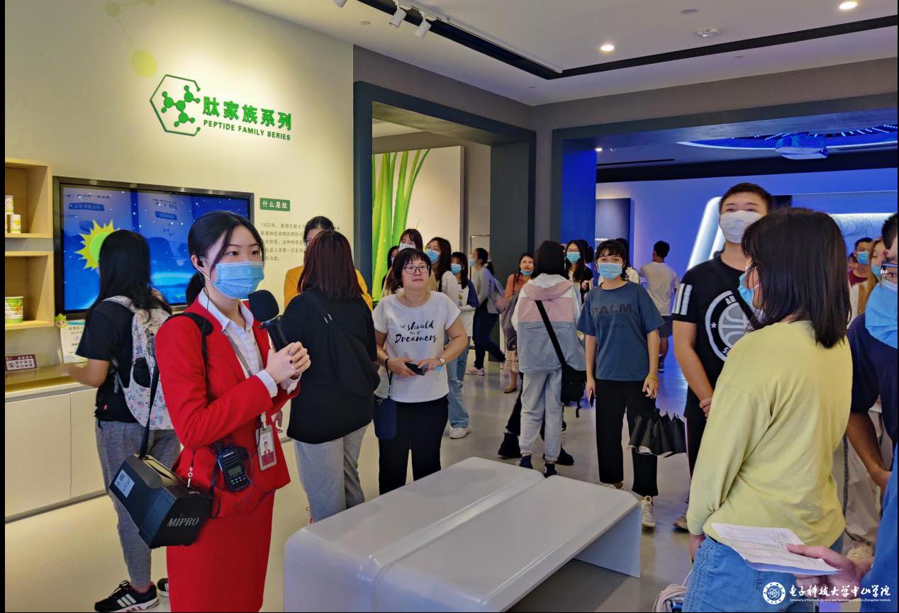 食品公司下载，便捷操作与优质服务的完美结合
