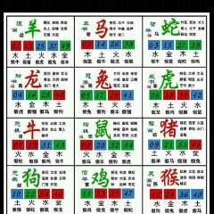 六合在线网六合在线网，网络新时代的探索与体验