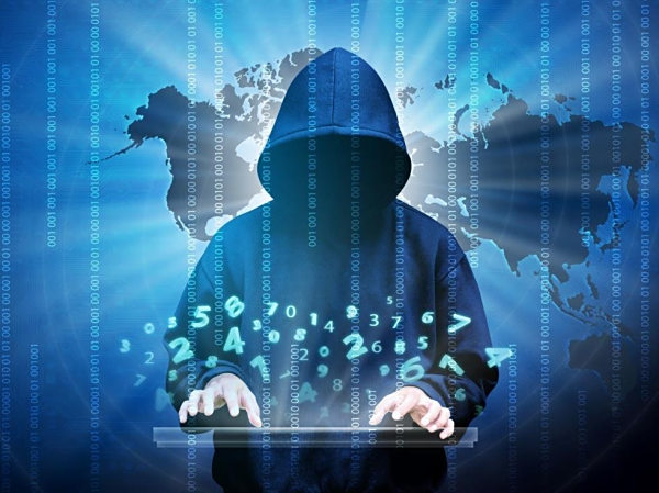 4238.com，数字时代的网络新天地-第2张图片