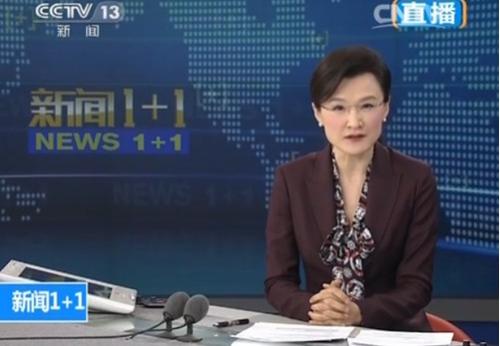 中央电视台董倩个人资料中央电视台董倩，新闻人的典范-第2张图片