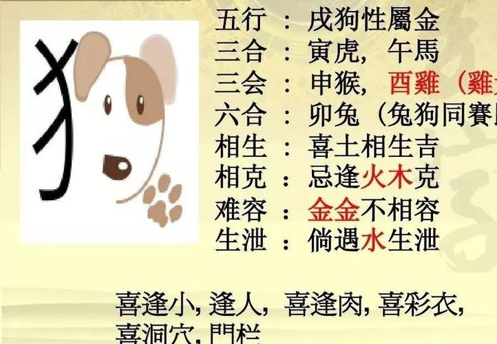 二八追求五迟疑是什么生肖二八追求五迟疑是什么生肖-第2张图片