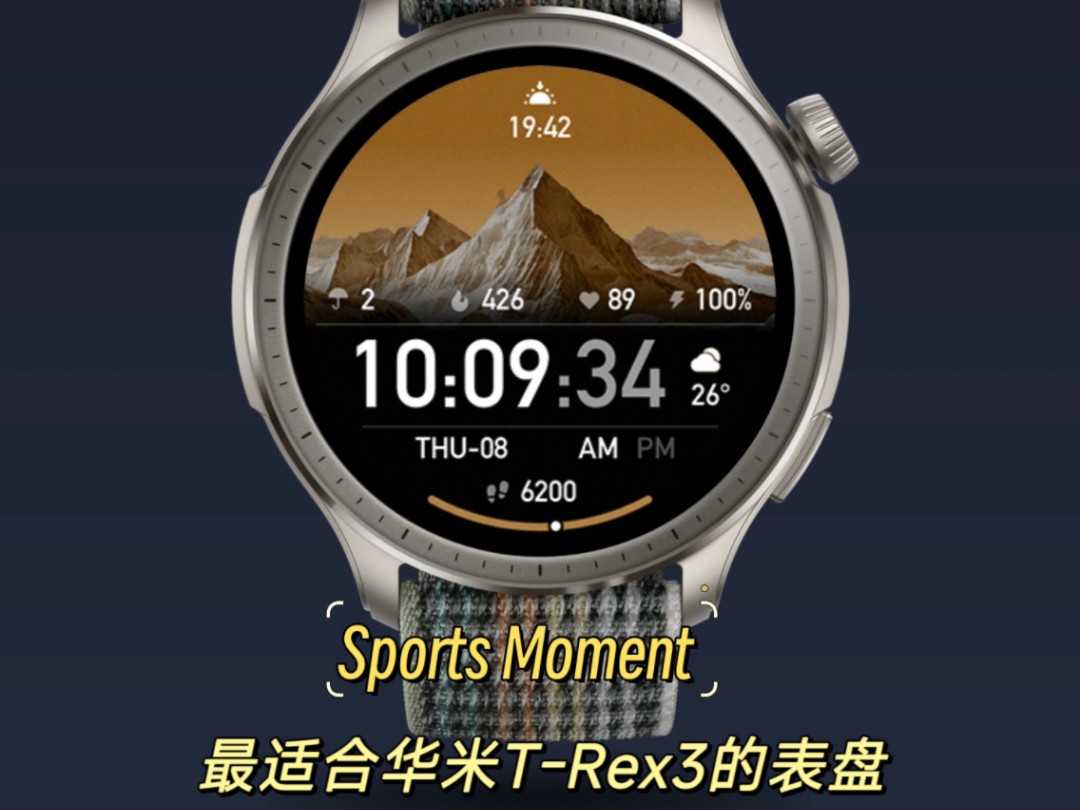 华米手表2，智能生活的新选择-第3张图片