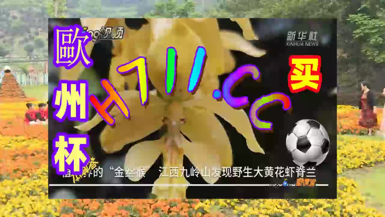 球探即时比分与球探分数的探讨-第1张图片