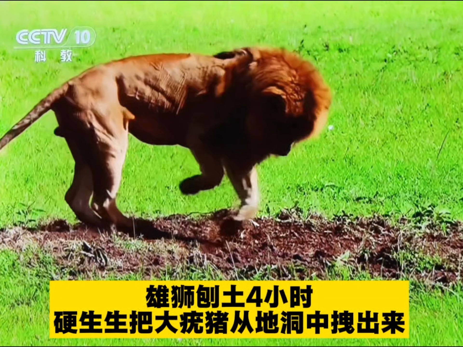 横拦竖挡横拦竖挡，生活中的防御策略-第3张图片